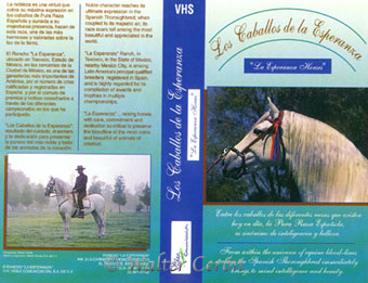 caballos esperanza fotografia